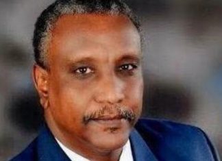 (عرمان): الجيش حدد ممارسة مهام السيادة والسياسة الخارجية في المجلس الأعلى (عرمان): الجيش حدد ممارسة مهام السيادة والسياسة الخارجية في المجلس الأعلى