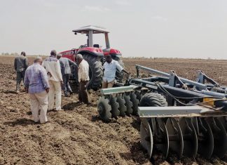 الجزيرة تستهدف زراعة أكثر من 1.4مليون فدان مطري الموسم الحالي الجزيرة تستهدف زراعة أكثر من 1.4مليون فدان مطري الموسم الحالي