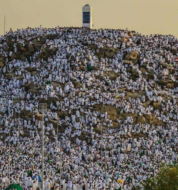 مليون حاج يقفون على صعيد عرفات في أكبر موسم حج منذ جائحة كورونا ويؤدون صلاتي الظهر والعصر بمسجد نمرة (فيديو) مليون حاج يقفون على صعيد عرفات في أكبر موسم حج منذ جائحة كورونا ويؤدون صلاتي الظهر والعصر بمسجد نمرة (فيديو)