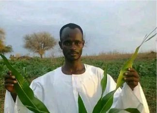 قيادات شبابية بالنيل الأزرق تدعو لتوسيع مظلة التمويل لزيادة الانتاج قيادات شبابية بالنيل الأزرق تدعو لتوسيع مظلة التمويل لزيادة الانتاج