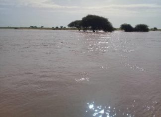 10 ملايين متر مكعب من مياه الأمطار للمصادر الجنوبية بالأبيض 10 ملايين متر مكعب من مياه الأمطار للمصادر الجنوبية بالأبيض