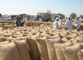 اكثر من 2 مليون جوال ذرة لمحلية المالحة اكثر من 2 مليون جوال ذرة لمحلية المالحة