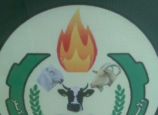 استئناف تقديم التمويل الأصغر لأكثر من 700 مستفيد بشمال كردفان استئناف تقديم التمويل الأصغر لأكثر من 700 مستفيد بشمال كردفان