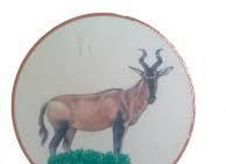 الدندر تسير قافلة دعم ومؤازرة لمتأثري إقليم النيل الأزرق الدندر تسير قافلة دعم ومؤازرة لمتأثري إقليم النيل الأزرق