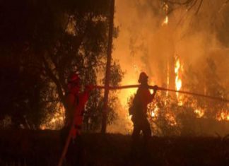 قتيل وجريح في حريق غابات في المغرب قتيل وجريح في حريق غابات في المغرب
