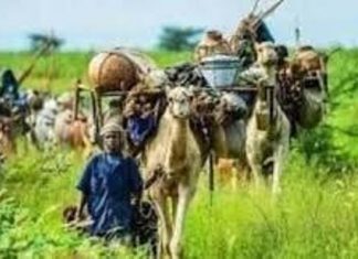 الوثبة الثانية من برنامج فتح مسارات ومراحيل الرعاة بشمال دارفور الوثبة الثانية من برنامج فتح مسارات ومراحيل الرعاة بشمال دارفور