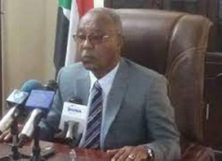 تعيين أماني حسن أمينا عاما لمجلس رعاية الطفولة بالشمالية تعيين أماني حسن أمينا عاما لمجلس رعاية الطفولة بالشمالية