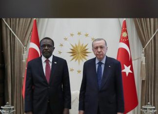 اردوغان يتسلم اوراق اعتماد سفير السودان لدى تركيا اردوغان يتسلم اوراق اعتماد سفير السودان لدى تركيا