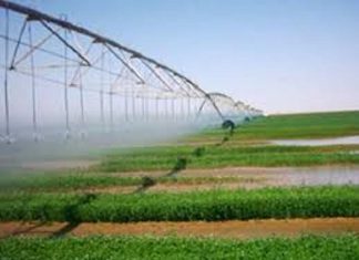 قانون الاستثمار وتحديات جذب المشروعات الاستثمارية بالجزيرة قانون الاستثمار وتحديات جذب المشروعات الاستثمارية بالجزيرة