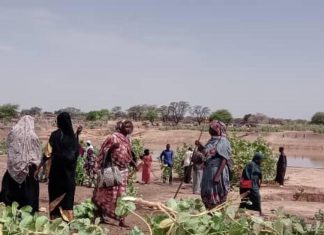 لجنة حماية الموسم الزراعي بكليمندو تتفقد سير عمل اللجان الفرعية لجنة حماية الموسم الزراعي بكليمندو تتفقد سير عمل اللجان الفرعية