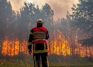 شهر حرائق الغابات.. تعرف على أبرزها وما نتج عنها من خسائر شهر حرائق الغابات.. تعرف على أبرزها وما نتج عنها من خسائر