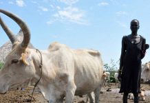 هل تكفي منحة البنك الدولي لمواجهة تهديد المجاعة في السودان؟ هل تكفي منحة البنك الدولي لمواجهة تهديد المجاعة في السودان؟