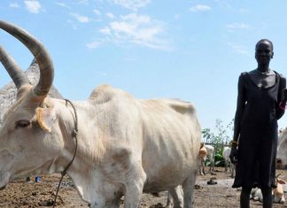 هل تكفي منحة البنك الدولي لمواجهة تهديد المجاعة في السودان؟ هل تكفي منحة البنك الدولي لمواجهة تهديد المجاعة في السودان؟