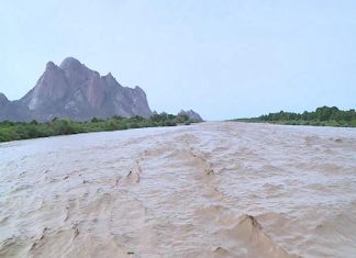 القاش يجتاح عددا من المشاريع الزراعية بمنطقة جسر الصعايدة القاش يجتاح عددا من المشاريع الزراعية بمنطقة جسر الصعايدة