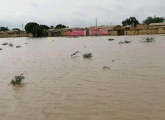 أمطار غزيرة تضرب قرية ارقين بحلفا الجديدة أمطار غزيرة تضرب قرية ارقين بحلفا الجديدة