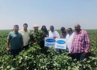 ترتيبات لزراعة 30 ألف فدان بأصناف القطن التركية الجديدة بالجزيرة ترتيبات لزراعة 30 ألف فدان بأصناف القطن التركية الجديدة بالجزيرة