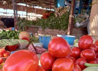 النيل الابيض:إرتفاع اسعار المواد الغذائية وانخفاض اسعار الخضر النيل الابيض:إرتفاع اسعار المواد الغذائية وانخفاض اسعار الخضر