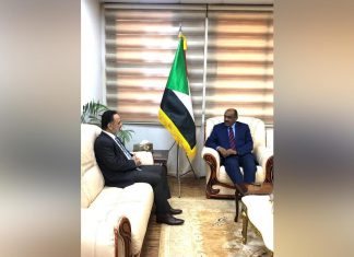 وزير الخارجية المكلف يستقبل السفير التركى