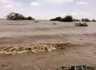 الأمطار والسيول تغمر منطقة الكوكيتى بمحلية غرب بارا الأمطار والسيول تغمر منطقة الكوكيتى بمحلية غرب بارا