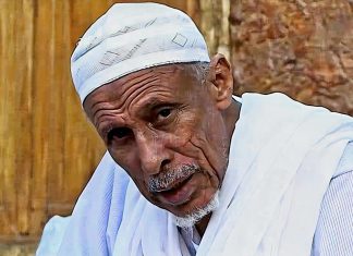 الطيب الجد يوجه نداء بشأن تشكيل الحكومة ويكشف موقف حميدتي من مبادرة أهل السودان الطيب الجد يوجه نداء بشأن تشكيل الحكومة ويكشف موقف حميدتي من مبادرة أهل السودان