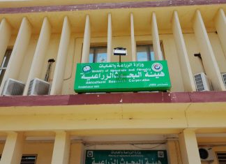 الجزيرة:جهود علمية لتحسين الوضع الغذائي في المجتمعات الهشة الجزيرة:جهود علمية لتحسين الوضع الغذائي في المجتمعات الهشة