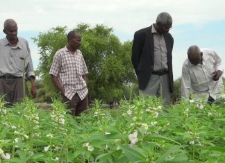 وزير الإنتاج بالنيل الابيض يقف علي سير الموسم الزراعي بتندلتي وزير الإنتاج بالنيل الابيض يقف علي سير الموسم الزراعي بتندلتي