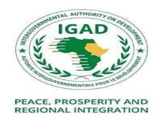 السكرتير التنفيذي للإيغاد يدعو إلى وقف الأعمال العدائية السكرتير التنفيذي للإيغاد يدعو إلى وقف الأعمال العدائية