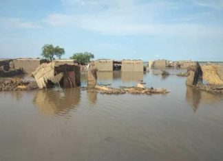 الدفاع المدني يكشف تفاصيل مأساوية عن خسائر للفيضانات والسيول السودان.. الدفاع المدني يكشف تفاصيل مأساوية عن حصيلة وفيات وخسائر جديدة للفيضانات والسيول