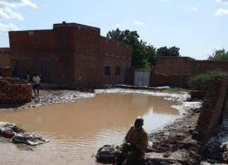 وفاة 14 مواطنا وتأثر 10688 أسرة بالسيول والأمطار بالجزيرة وفاة 14 مواطنا وتأثر 10688 أسرة بالسيول والأمطار بالجزيرة