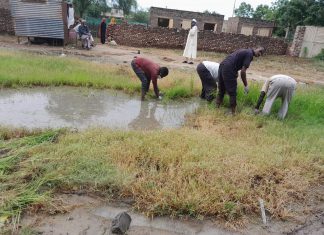 نفرة كبرى لنظافة مستشفى الدندر نفرة كبرى لنظافة مستشفى الدندر