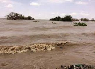 التنمية الاجتماعية: تضرر مناطق واسعة بالجزيرة بالسيول والفيضانات التنمية الاجتماعية:تضرر مناطق واسعة بالجزيرة بالسيول والفيضانات