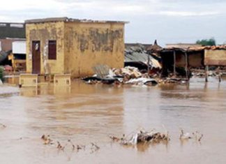 مليون ونصف اسرة تأثرت بالسيول في السودان مليون ونصف اسرة تأثرت بالسيول في السودان