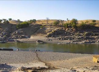 العثور على 20 جثة قرب الحدود مع ليبيا العثور على 20 جثة قرب الحدود مع ليبيا