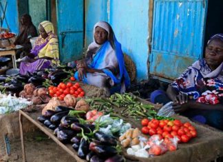 غذاء السودانيين مهدّد.. أزمات إنتاجية طاحنة تطاول الزراعة غذاء السودانيين مهدّد.. أزمات إنتاجية طاحنة تطاول الزراعة