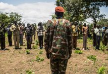 52 ألف متمرد ينضمون للجيش والشرطة في جنوب السودان 52 ألف متمرد ينضمون للجيش والشرطة في جنوب السودان