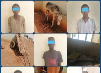 السودان..”عصابة الكارو” في قبضة السلطات السودان..”عصابة الكارو” في قبضة السلطات