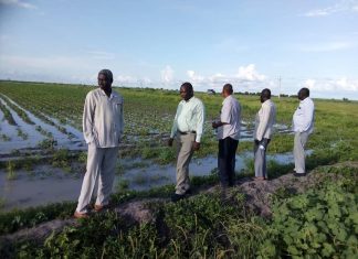 وزيرالإنتاج بالنيل الأبيض:أكثرمن 250 الف فدان تأثر بالسيول والأمطار وزيرالإنتاج بالنيل الأبيض:أكثرمن 250 الف فدان تأثر بالسيول والأمطار