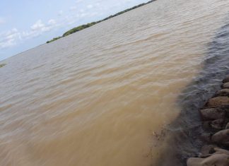 نهرالدندر يسجل زيادات جديدة ويشكل خطورة على كبري خور ودالحسن نهرالدندر يسجل زيادات جديدة ويشكل خطورة على كبري خور ودالحسن