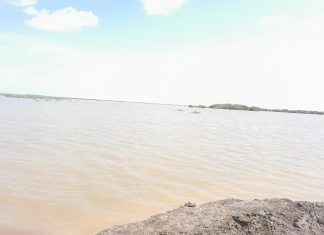 نهر الدندر يحاصر القري ويغمر محاصيل زراعية مختلفة نهر الدندر يحاصر القري ويغمر محاصيل زراعية مختلفة