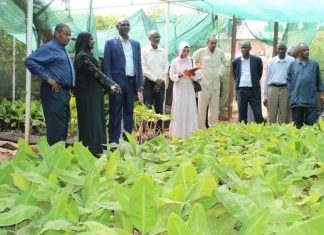 تنسيق لتوطين التقانات وتوفير التقاوي الزراعية بالخرطوم تنسيق لتوطين التقانات وتوفير التقاوي الزراعية بالخرطوم