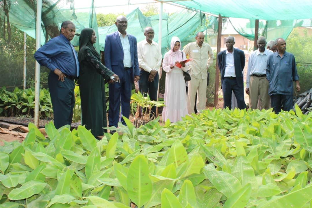 تنسيق لتوطين التقانات وتوفير التقاوي الزراعية بالخرطوم تنسيق لتوطين التقانات وتوفير التقاوي الزراعية بالخرطوم