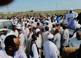 مزارعو المناقل يطالبون بتوفير التقاوي والأسمدة والتمويل مزارعو المناقل يطالبون بتوفير التقاوي والأسمدة والتمويل