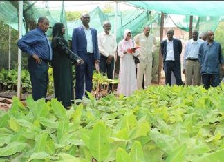 زراعة الخرطوم تبدأ خطة لتوطين التقانات وتوفير التقاوي الزراعية زراعة الخرطوم تبدأ خطة لتوطين التقانات وتوفير التقاوي الزراعية