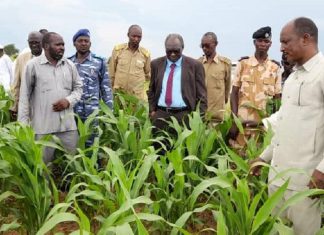 والي وسط دارفور يشهد الإحتفال بعيد الشجرة بمحلية أزوم والي وسط دارفور يشهد الإحتفال بعيد الشجرة بمحلية أزوم