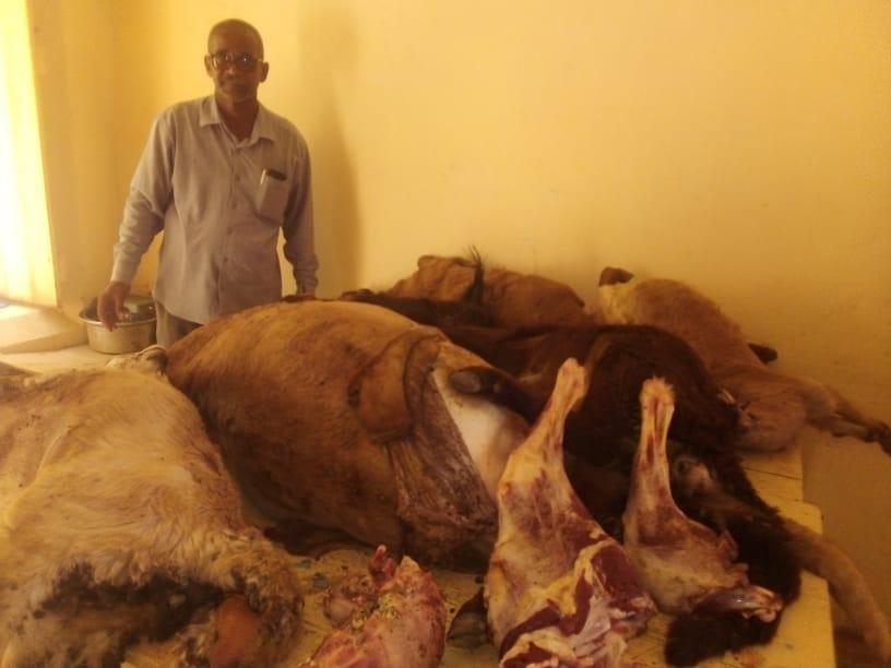 ضبط كميات من الذبيح المخالف للضوابط بشندي ضبط كميات من الذبيح المخالف للضوابط بشندي