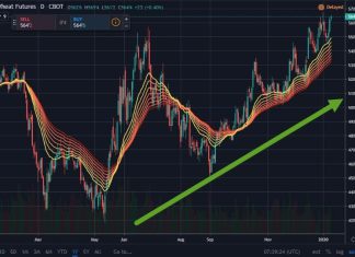 معدل لتضخم فى اغسطس يصل الى 117.42 معدل لتضخم فى اغسطس يصل الى 117.42