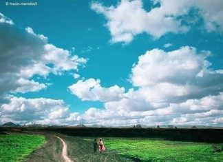 إرتفاع المساحات المزروعة بالقضارف الي اكثر من(٦.٥)مليون فدان إرتفاع المساحات المزروعة بالقضارف الي اكثر من(٦.٥)مليون فدان