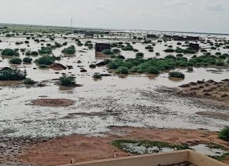 الأمطار والسيول بالنيل الأزرق تتلف 23 الف فدان من المحاصيل الأمطار والسيول بالنيل الأزرق تتلف 23 الف فدان من المحاصيل