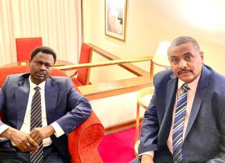 مناوي:نفرة دعم قطر 3ألف من الخراف لضيوف كأس العالم مناوي:نفرة دعم قطر 3ألف من الخراف لضيوف كأس العالم