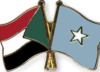 وزير الخارجية يلتقي بنظيره الصومالي وزير الخارجية يلتقي بنظيره الصومالي